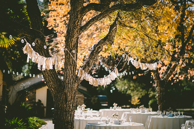 Autumn trees decorated with lights. Chairs and tables